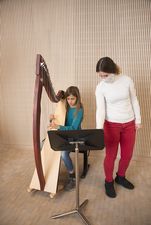 Corona Unterricht Harfe Musikschule Kilchberg-Rüschlikon