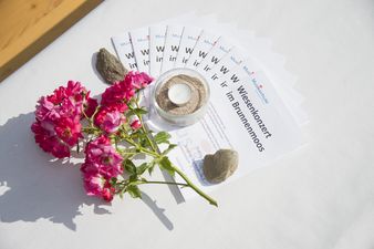 Wiesenkonzert Brunnenmoos Musikschule Kilchberg-Rüschlikon