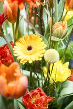 Konzert Musikschule Kilchberg-Rüschlikon Blumenbouquet