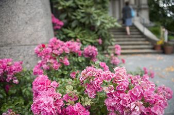Impressionen Konzert Musikschule Kilchberg-Rüschlikon
